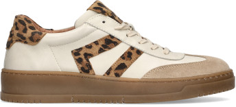 Creator Ortega sneaker